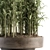 Tall Bamboo Set: Stunning Indoor Greenery! 3D model small image 2