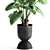 Tropical Collection: Exotic Alocasia Plants 3D model small image 4