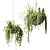 Ampelous Plants in Hanging Pots Set 3D model small image 1