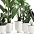 Tropical Plant Collection, White Pots 3D model small image 3