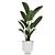 Tropical Plant Collection, White Pots 3D model small image 5