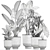 Tropical Plant Collection, White Pots 3D model small image 6