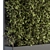 Artful Greenery: Vertical Wall Decor 3D model small image 2