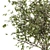 Refreshing Green Branch Bouquet 3D model small image 2