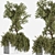 Outdoor Bliss: Majestic Tree 06 3D model small image 3