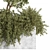 Outdoor Bliss: Majestic Tree 06 3D model small image 4