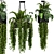 Metal Box Hanging Plants - Set 89 3D model small image 2