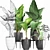 Exquisite Alocasias Collection | 215 Varieties 3D model small image 3
