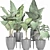 Exquisite Alocasias Collection | 215 Varieties 3D model small image 4