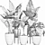 Exquisite Alocasias Collection | 215 Varieties 3D model small image 5