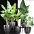 Exquisite Alocasias Collection | 215 Varieties 3D model small image 6