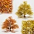 Autumnal Tree Pack: 2 Unique Trees 3D model small image 1