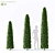 Premium Thuja occidentalis - Exquisite Collection 3D model small image 1