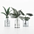 Indoor Plant Collection for any Space 3D model small image 4