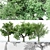  3 Distinctive Tree Models - American Beech, Sycamore, and Amur Cork 3D model small image 1