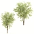 Dual Ashes Tree Sculptures 3D model small image 1