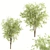 Dual Ashes Tree Sculptures 3D model small image 5