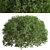 3-Piece Boxwood Shrub Set: Elegant & Evergreen 3D model small image 5