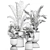 Exotic Plant Collection: Alocasia, Strelitzia, Banana Palm 3D model small image 7