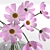 Cosmo Charm Bouquet 3D model small image 7