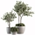 182-Piece Outdoor Plant Set: Tree in Pot 3D model small image 1