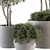 182-Piece Outdoor Plant Set: Tree in Pot 3D model small image 2