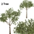 Deluxe Tree Set: 210cm & 270cm 3D model small image 1