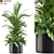 Tropical Paradise Plant Collection 3D model small image 1