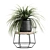 Tropical Plant Collection: Exotic Foliage in Stylish Pots 3D model small image 3