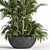Tropical Palm Indoor Plant Set 3D model small image 3