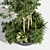 Outdoor Oasis Tree 08 3D model small image 3