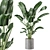 Fresh Greens: Indoor Plants Collection 3D model small image 1