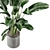 Fresh Greens: Indoor Plants Collection 3D model small image 3