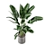 Fresh Greens: Indoor Plants Collection 3D model small image 6