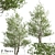 Versatile Black Alder Trees: 2-Pack 3D model small image 2