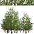 Versatile Black Alder Trees: 2-Pack 3D model small image 3