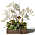 Elegant White Orchid & Succulent Arrangement 3D model small image 1
