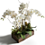 Elegant White Orchid & Succulent Arrangement 3D model small image 2