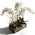 Elegant White Orchid & Succulent Arrangement 3D model small image 5