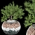 Premium Plant Collection: Volume 136 3D model small image 1