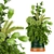 Premium Plant Collection Vol. 139 3D model small image 1