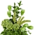 Premium Plant Collection Vol. 139 3D model small image 2