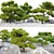 Exquisite Pinus Parviflora Bonsai 3D model small image 2