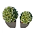 Modern Pot Plant Collection 3D model small image 2