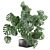 Exquisite Indoor Plant Collection 3D model small image 1