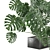 Exquisite Indoor Plant Collection 3D model small image 3