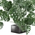 Exquisite Indoor Plant Collection 3D model small image 4