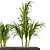 Exquisite Indoor Plant Collection 3D model small image 3