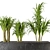 Exquisite Indoor Plant Collection 3D model small image 5