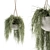 197 Indoor Hanging Plant Set 3D model small image 1